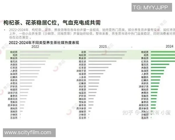数据分析揭示IG个人能力表现的深度洞察与发展潜力