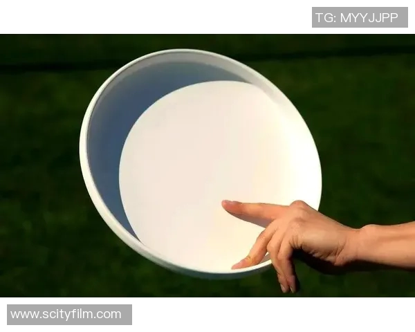 飞盘新手到高手的全面指南与实战技巧分享